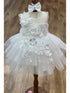Baby Girls Lala & Erina Ivory Tulle Lace 3D Applique Flower Girl Dress 3-24M front